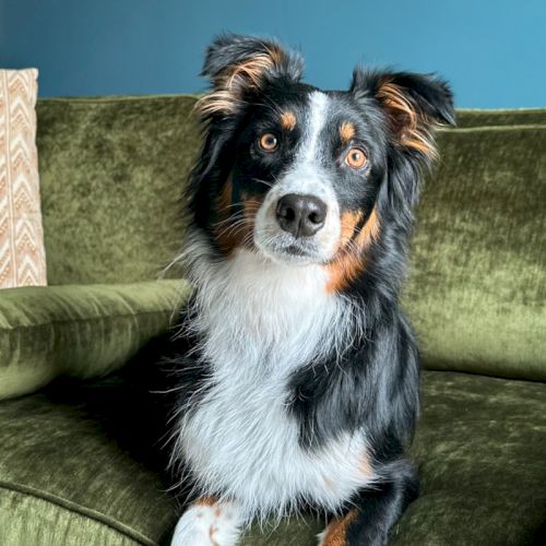 The Eliza Jane, Autograph Collection